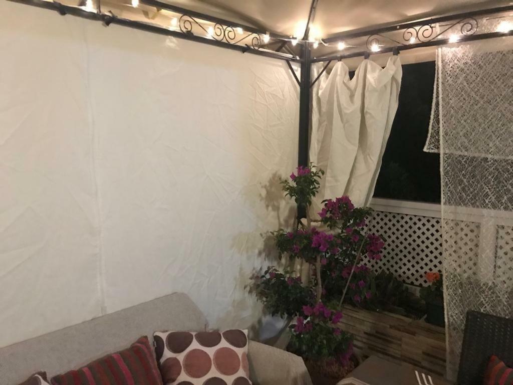 Orlando Apartment アデヘ エクステリア 写真